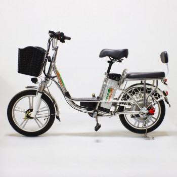 Электровелосипед GreenCamel Транк-18 V2 (R18 250W)